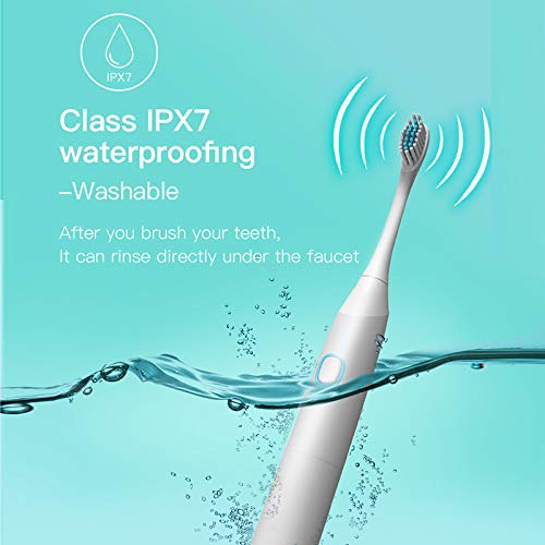 Electric Toothbrush IPX7 Waterproof Whitening Prevent Tooth Decay Removes Plaque with 1 Extra Replacement Brush Heads (BLACK)