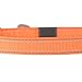 Browning Classic Preformance Webbing Pet Collar, Fully Adjustable, Available in Solid Colors and Camo Patterns, Safety Orange, Medium