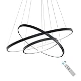 DEARLAN Modern LED Chandelier Lighting Dimmable