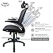 High Back Ergonomic Adjustable Office Chair with Breathable Mesh, Weight Capacity Over 300Ibs Passed BIFMA, Adjustable Headrest, Backrest and Flip-up Armrests, Computer Chair, Executive Swivel Chair