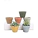 Succulent Planter,Indoor Small Mini Ceramic Plant Pots with Drainage for Cactus Set of 6