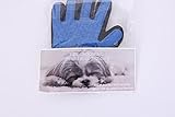 Ransom Retail Pet Grooming Deshedding Glove