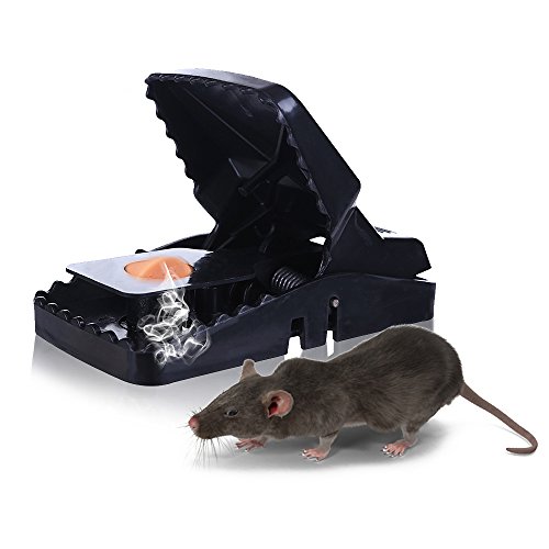 Mouse Trap Mice Traps Vole Catcher Snap Humane Power Rodent Rat Killer