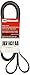 Motorcraft JK61031AB V-Ribbed Belt