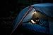BioLite Sunlight Solar Powered Lantern, Teal