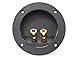 Absolute USA RST-450 4-Inch Round Gold Push Spring Loaded Jacks Double Binding Post Speaker Box Terminal Cup