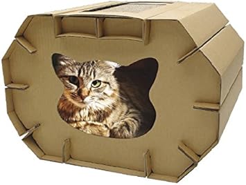 Croci C6020879 Kratzbaum Haus Aus Karton Amazon De Haustier