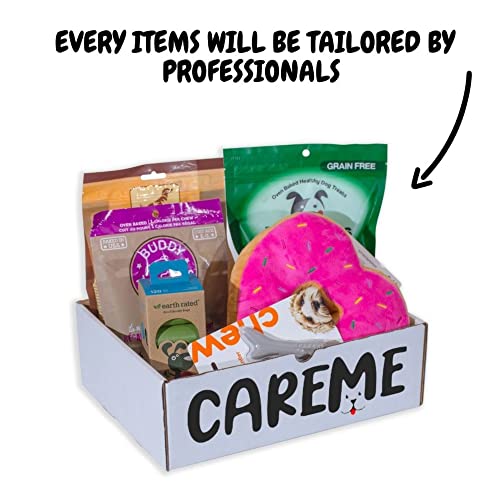 CareMe Seasonal box of Customized/Premium Dog Toys, Treats and