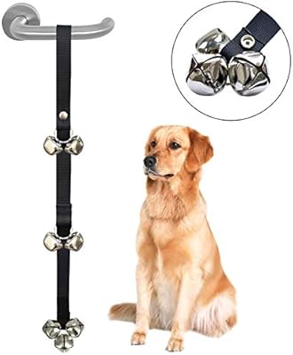 best way to potty train a new puppy