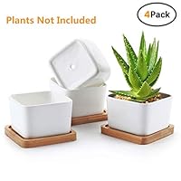 Succulent Pots,OAMCEG 3.54 inch Square Design for Succulent/Cactus,Set of 4 White Ceramic Succulent Cactus Planter Pots with Bamboo Tray(Plants NOT Included)