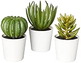 Amazon Basics Artificial Mini Succulent Fake Indoor