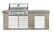 Napoleon BILEX605RBINSS 100534143 Natural Gas Grills, 605 sq.in, White