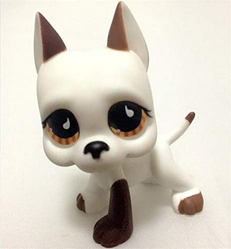 Panamat Action & Toy Figures - Cat Pet Shop Toy Short Hair Cat Great Dane Dachshund Collie Figure Collection Classic Pet Cosplay Action Children Gifts 1 PCs