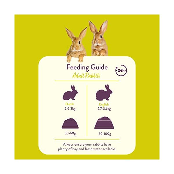 Burgess Excel Nuggets with Mint Adult Rabbit Food, 10 kg