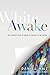 White Awake: An Honest Look at What It Means to Be White by Daniel Hill, Brenda Salter McNeil