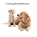 Amabana Dog Whistle to Stop Barking, Adjustable Pitch Ultrasonic Training Tool Silent Bark Control for Dog(1 Pack)