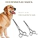 Wellbro Stainless Steel Dog Grooming Scissor Kit, Set of 2 Professional Pet Trimming Shears with Round Tips, Includes 1 Serrated Blade Scissor and 1 Regular Scissor, Suitable for Dogs, Cats and Pets