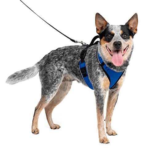 PetSafe EasySport Dog Harness – Adjustable, Padded Dog Harness with Control Handle and Reflective Piping – Medium, Blue