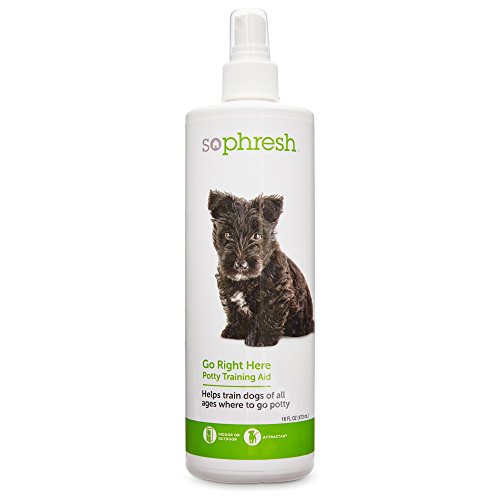 So Phresh Go Right Here Potty Training Spray, 16 oz.