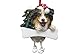 Australian Shepherd Ornament with Unique 