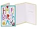 American Greetings Premium Kids Birthday Greeting Card Collection, 8-Count