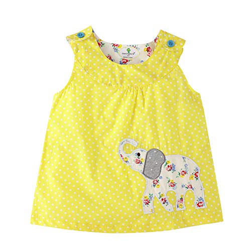 BIBNice Toddler Baby Girls Summer Clothes Sleeveless Tee Floral Short Sets Outfits Size 2
