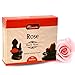 Aromatika Back Flow Natural Incense Cones 12 Packets Total 120 pcs of 10 fragrances Dragon Blood,Lavendar,Musk,Nagchampa,Palo Santo,Rose,Patchouli,Sandal,White Sage,Lotus
