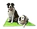 Animal Planet Indoor Self Cooling Pet Cool Mat Assorted Colors - Large 36
