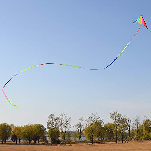 Kite Tail,Flat Ribbon Streamer Rainbow Multi Color (Multi Color), 49 Feet
