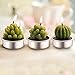 Outee Cactus Tealight Candles 12 Pack Handmade Delicate Succulent Cactus Candles Flameless Aromatherapy 12 Designs for for Birthday Party Wedding Spa