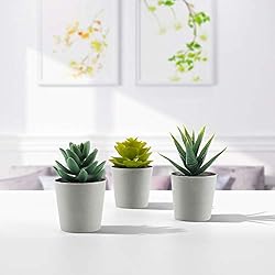 Artificial Succulents Set of 3 Mini Realistic Fake