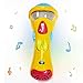Kids Music Karaoke Microphone Toys - Wishtime Toddler Singing Karaoke Microphone for Recorder with Music and Light(Color May Vary)
