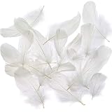 Coceca 500 White Feathers for DIY Craft Wedding Home Party Decorations