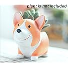 Cuteforyou Cute Animal Shaped Cartoon Home Decoration Succulent Vase Flower Pots