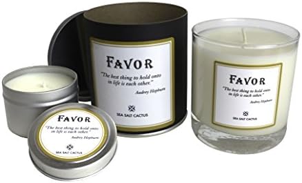 Favor Candles Sea Salt Cactus "The best thing to hold" - Full Sized &amp; Travel Sized Candles Package