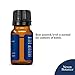 Nexon Botanics Organic Essential Oil Set - Pure Natural USDA Organic Essential Oils Kit - Best Aromatherapy, Diffuser Oils Set - Lavender, Peppermint, Eucalyptus, Tea Tree,Orange,Lemongrass 6 x 10 ml