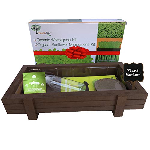 Organic Microgreens Growing Kit with Beautiful Wooden Countertop Planter, Wonder Soil, Organic Micro - //coolthings.us