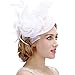 Valdler Halloween Costume Feather Net and Veil Fascinator Hair Clip Hat Hair Accessories Clip for Festival Party White