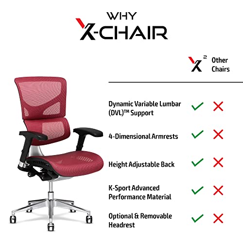 XChair X2 Management Task Chair, Black KSport Mesh Fabric with