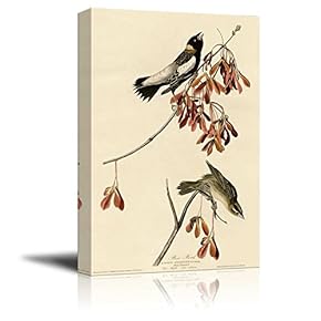 Beautiful Illustration of a Rice Bird by John James Audubon - Canvas Art Home Art - 12x18 inches