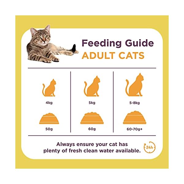 SUPACAT ADULT CHICKEN & DUCK 10KG