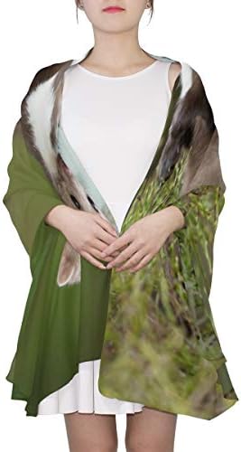 Cute And Cute Otter Unique Fashion Scarf For Women Lightweight Fashion Fall Winter Print Scarves Shawl Wraps Gifts For Early Spring