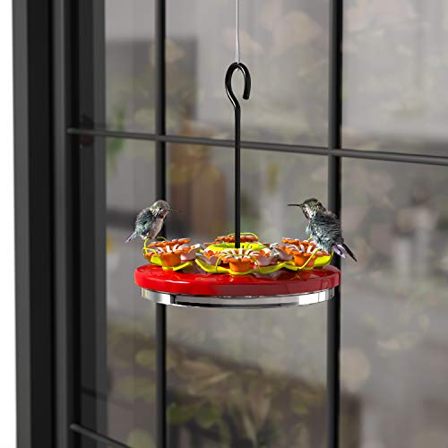Amazon Basics Hummingbird Feeder 12 Stations Pricepulse
