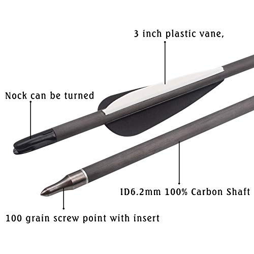 Archery 28 Inch Carbon Arrow Spine 400 Practice Hunting Arrows with Removable Tips for Compound & Recurve Bow (Pack of 6