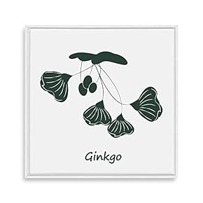 Framed Canvas Wall Art for Living Room, Bedroom Nordic Style Plants Theme Canvas Prints for Home Decoration Ready to Hang - 16x16 inches