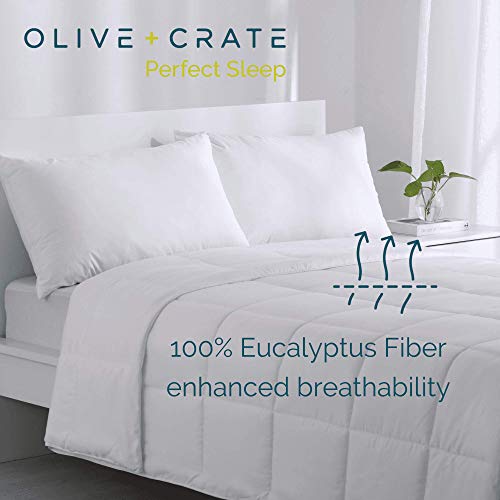 Olive + Crate 100 Cooling Eucalyptus Comforter SilkenSoft Lyocell