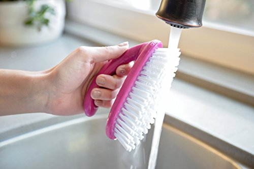 EvriHome Heavy Duty Scrub Brush, All-Purpose Scrubber, Colors May Vary - Fuchsia or Indigo