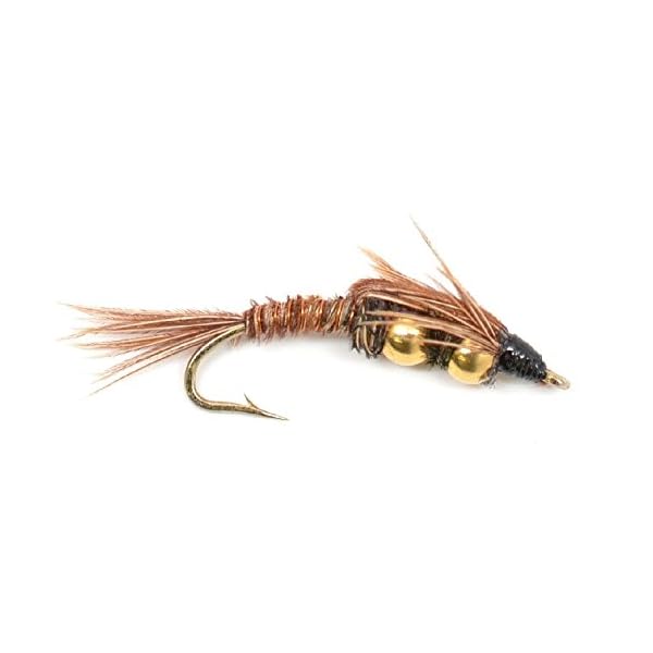 Double-Bead-Pheasant-Tail-Nymph-Fly-Fishing-Flies-Trout-and-Bass-Wet-Fly-Pattern-6-Flies-Hook-Size-12