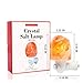 Salt Lamp,Salt Night Light,Natural Himalayan Salt Rock Lamps,Salt Wall Lamp Plug in,Mini Hand Carved Crystal Night Light,Used for Lighting,Decoration UL-Approved Plug