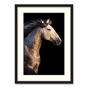 NWT Black Paper Framed Canvas Wall Art for...